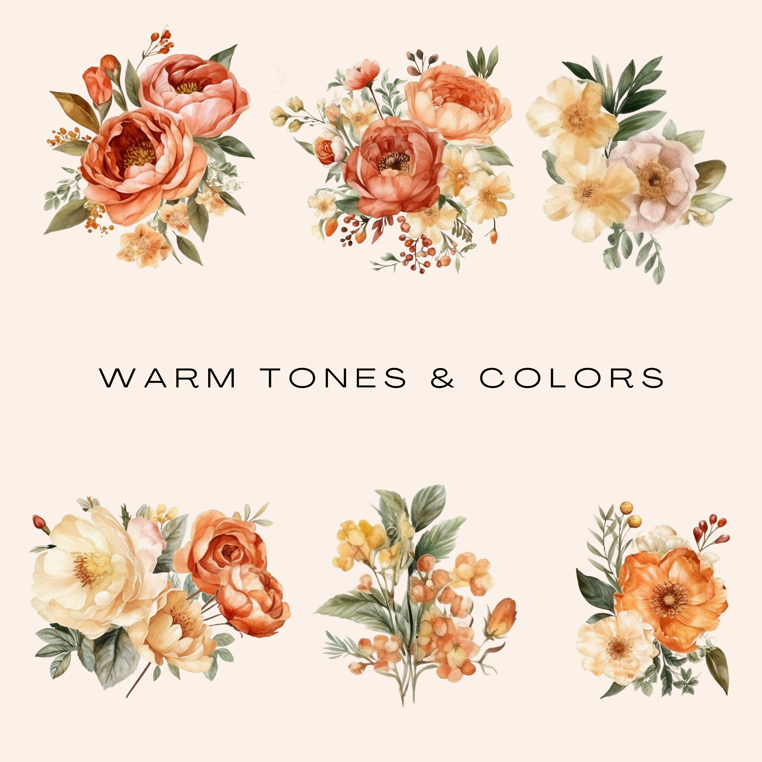 Orange & Blush Peony Clipart Bundle (Commercial Use)