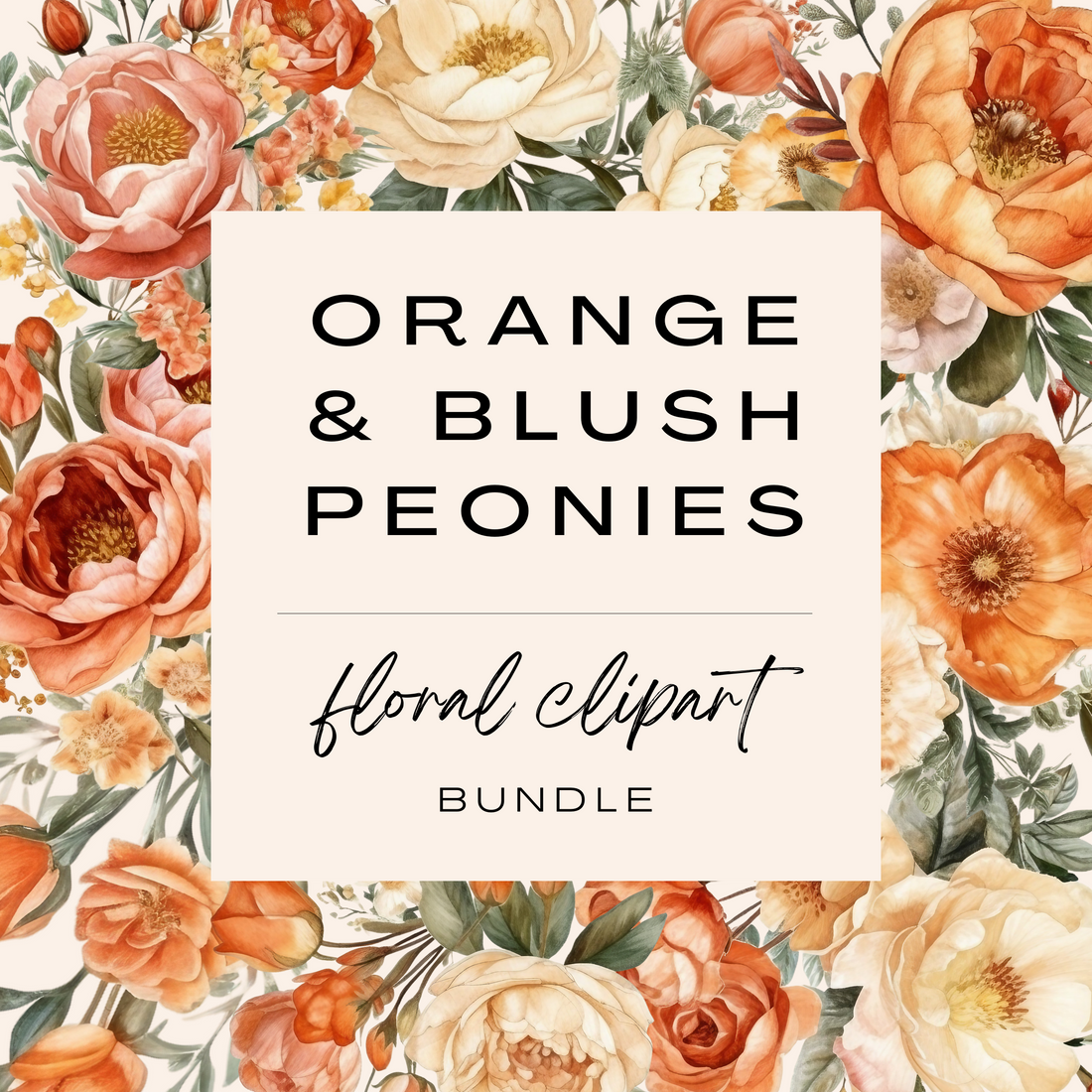 Orange & Blush Peony Clipart Bundle (Commercial Use)
